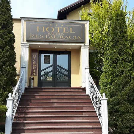 Hotel Bachus
