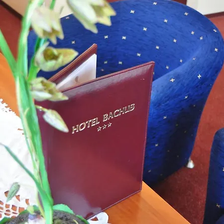 Hotel Bachus 3*