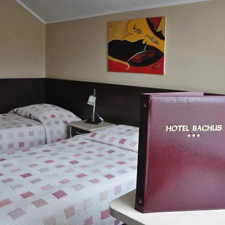 Hotel Bachus