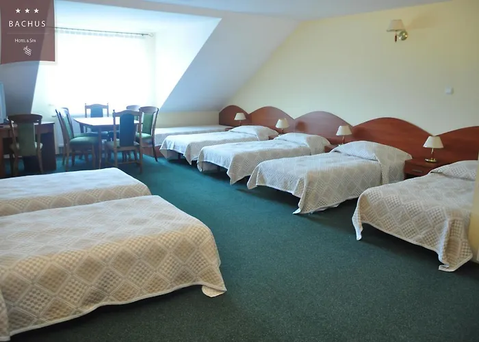 Bachus 酒店 3*