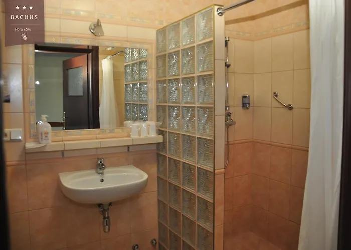 Bachus 3* Starogard Gdański