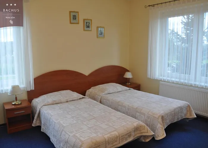 酒店 Bachus