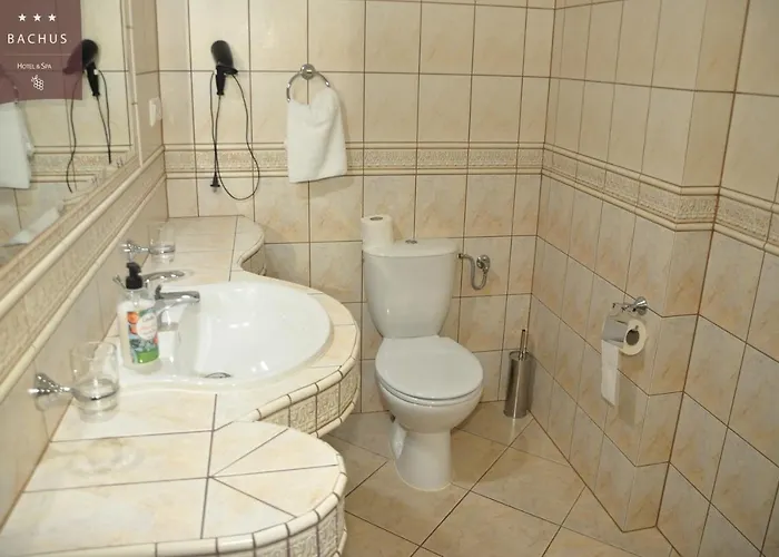 Bachus Starogard Gdański