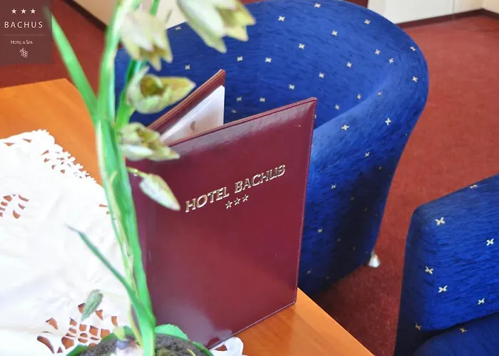 酒店 Bachus 3*