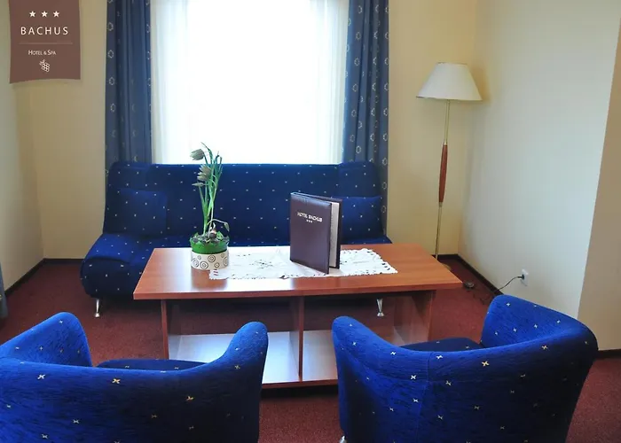 酒店 Bachus