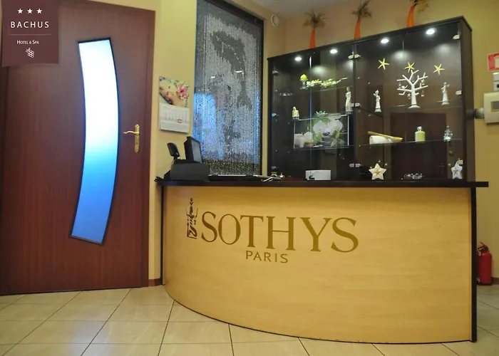 Bachus 酒店 Starogard Gdański