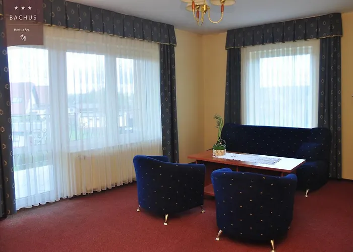 Bachus 酒店 Starogard Gdański