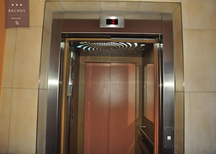 Bachus Starogard Gdański