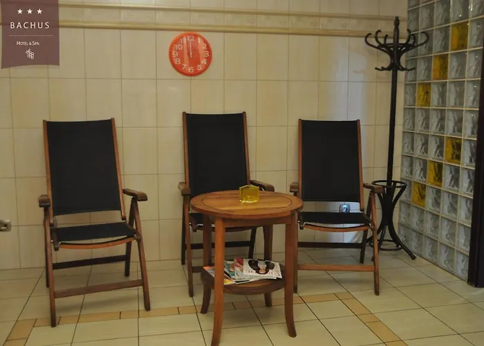 酒店 Bachus 3*