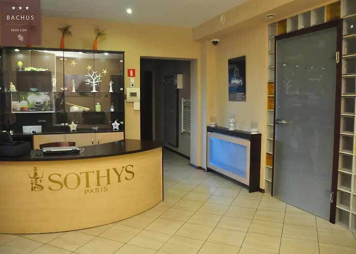 酒店 Bachus Starogard Gdański