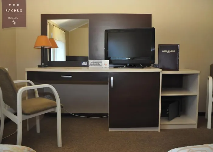 Bachus 3* Starogard Gdański