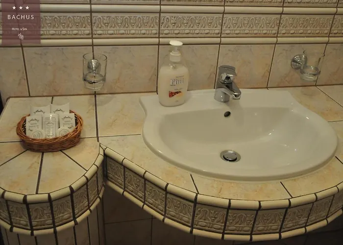 Bachus 酒店 Starogard Gdański