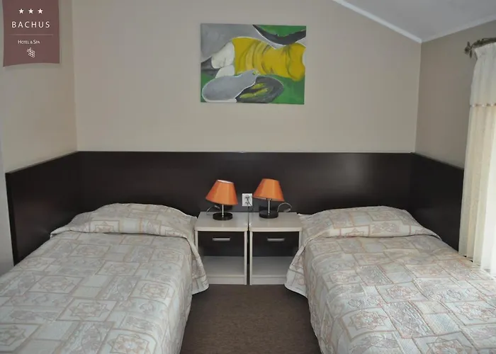 酒店 Bachus 3*