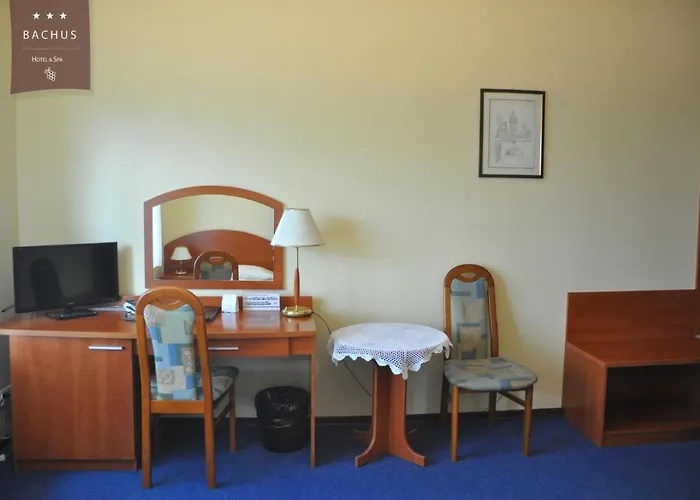 Bachus 酒店 3*