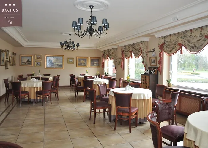 Bachus 3* Starogard Gdański