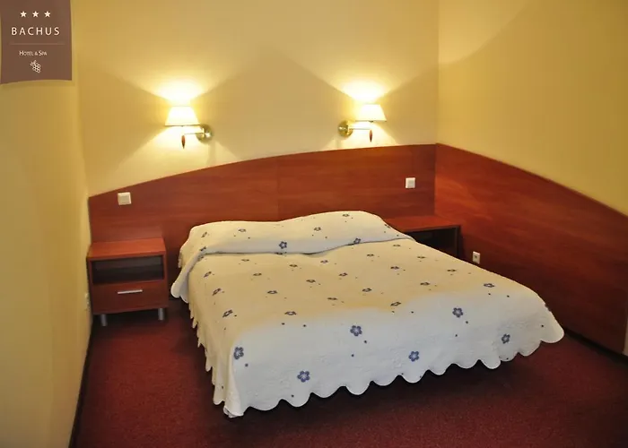 Bachus 酒店 Starogard Gdański